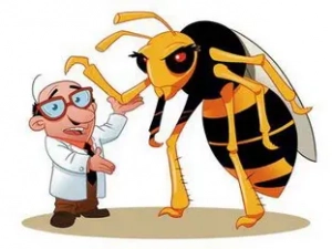 Asian hornets: Why and how to limit their spread
