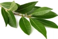 Add a bay leaf