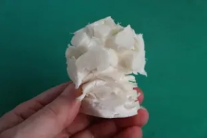 The  "pith" of the cauliflower