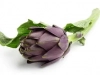 Purple globe artichokes