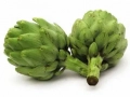 Globe artichoke