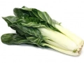 Swiss chard