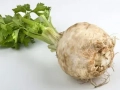 Celeriac