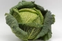 green cabbage