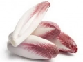 Red Belgian endive