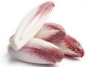 red Belgian endive