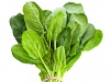 Spinach