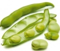 Broad beans