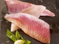 Fillet of red mullet