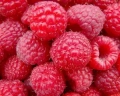 Raspberries