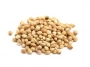 corianders seeds