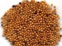 mustard seeds