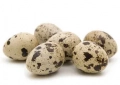 Quail egg