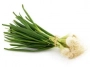 spring onion (scallion)