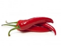 Red chilli