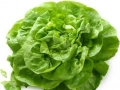 Lettuce