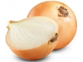 Onion