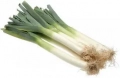 Leek