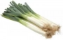 leek