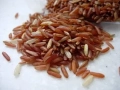 Red rice