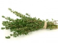 Thyme