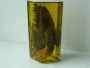 herb olive oil