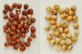 [How to peel hazelnuts]