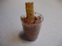 chocolate mousse