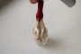 chestnut mousse in a whipper 