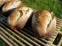 [Leavened bread]