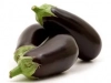 Aubergines (eggplants)