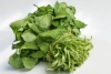 Watercress: 1 recipes Watercress