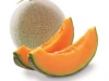 Melon: 2 recipes Melon