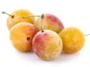 Mirabelle plums: 1 recipes Mirabelle plums