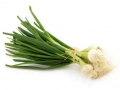 Spring onion (scallion)