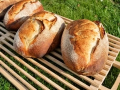 Leavened bread