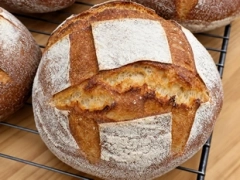 New leavened bread